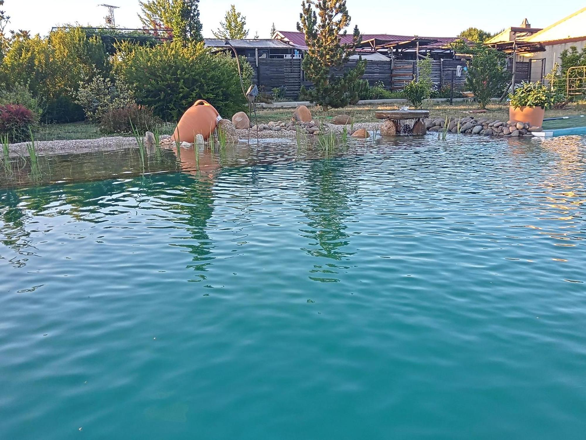 Hotel Albergue Bioclimatico Sabinares Del Arlanza Puentedura Bagian luar foto