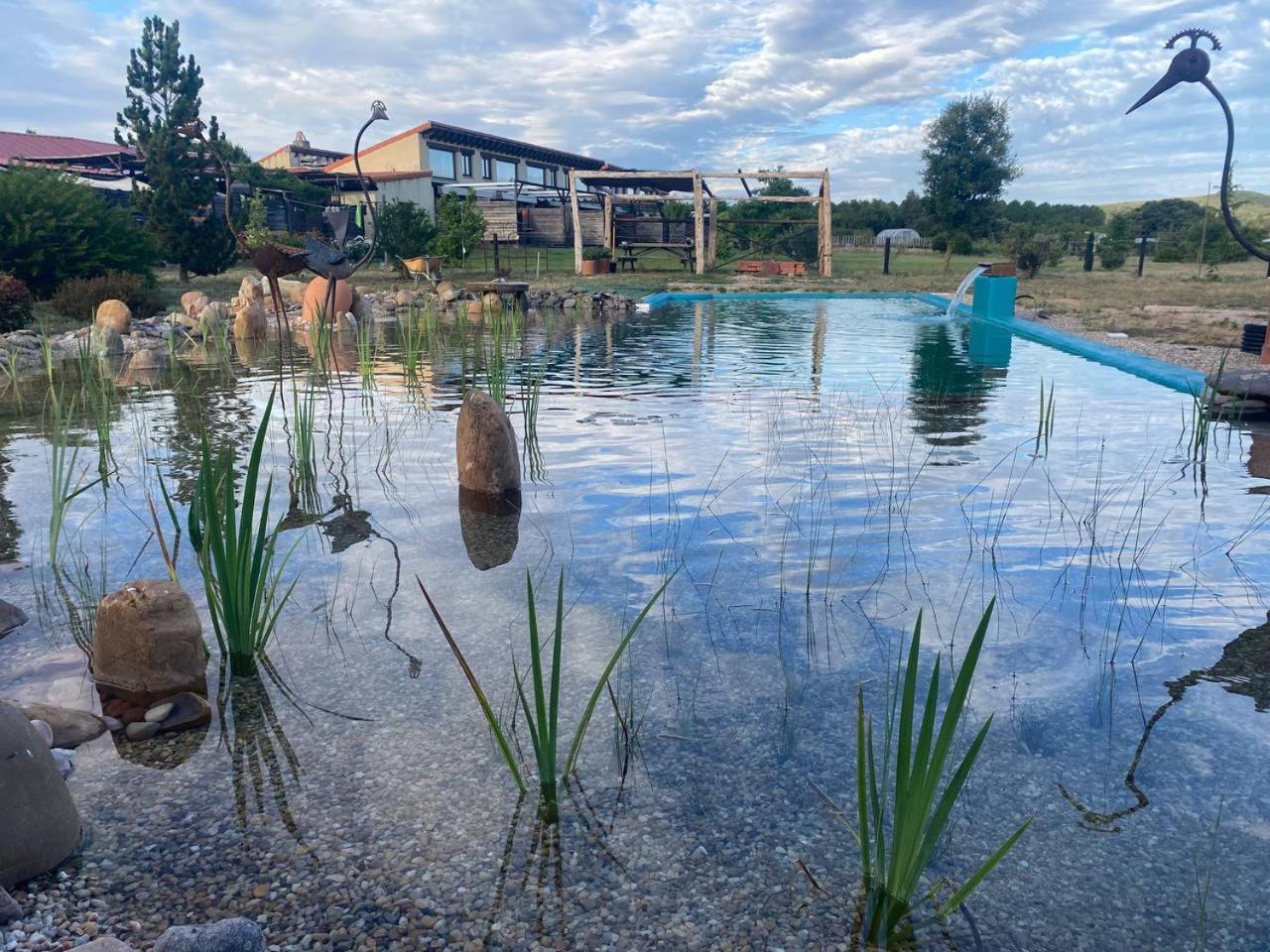 Hotel Albergue Bioclimatico Sabinares Del Arlanza Puentedura Bagian luar foto