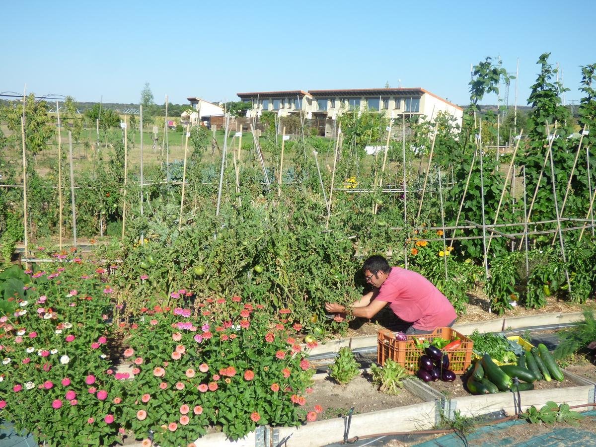 Hotel Albergue Bioclimatico Sabinares Del Arlanza Puentedura Bagian luar foto