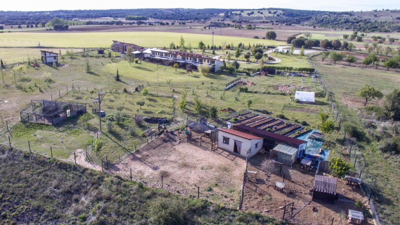 Hotel Albergue Bioclimatico Sabinares Del Arlanza Puentedura Bagian luar foto