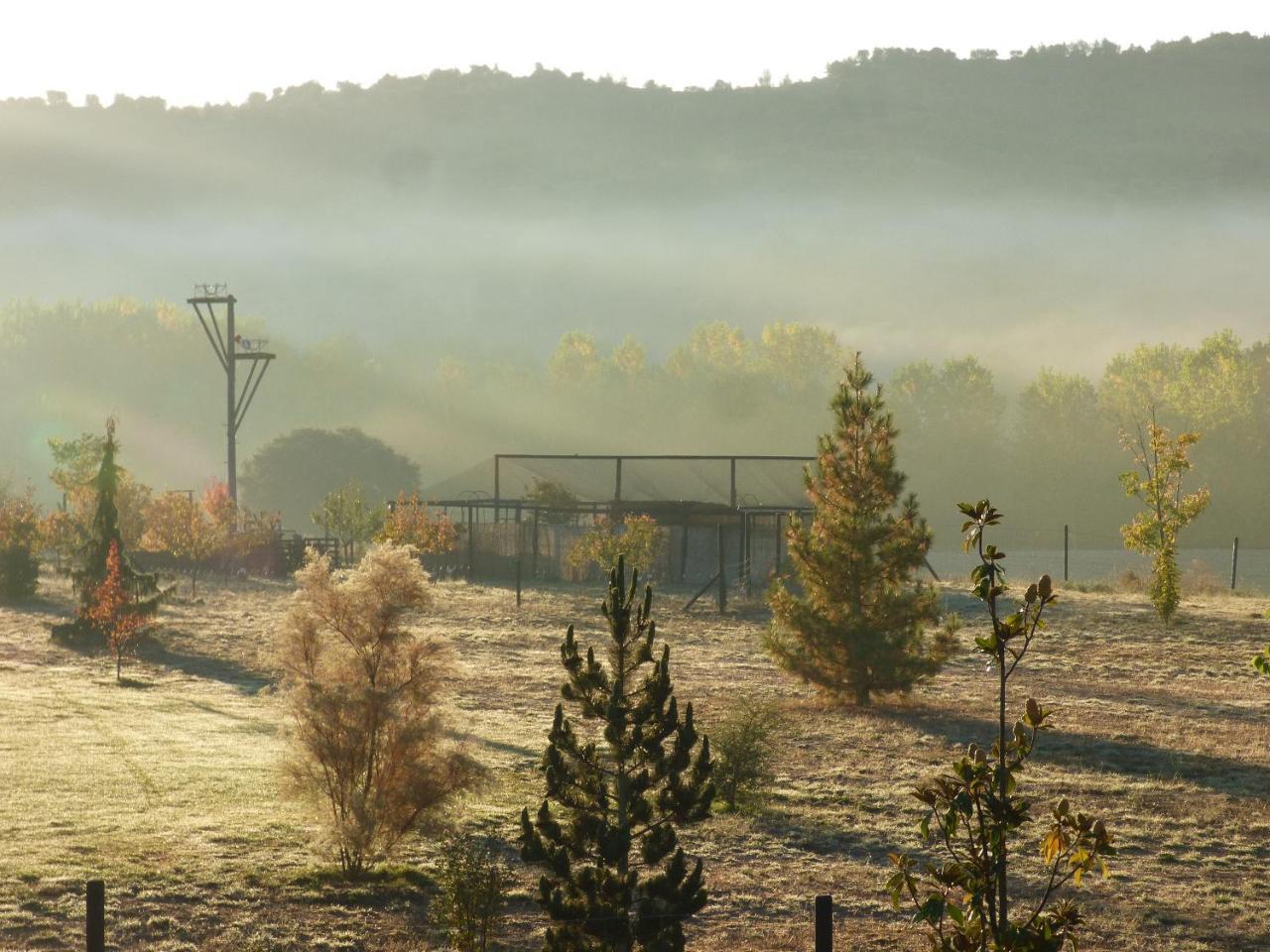 Hotel Albergue Bioclimatico Sabinares Del Arlanza Puentedura Bagian luar foto